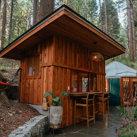 Hotel Magical Yurt In The Woods - 2 Miles From Town Nevada City Exteriér fotografie