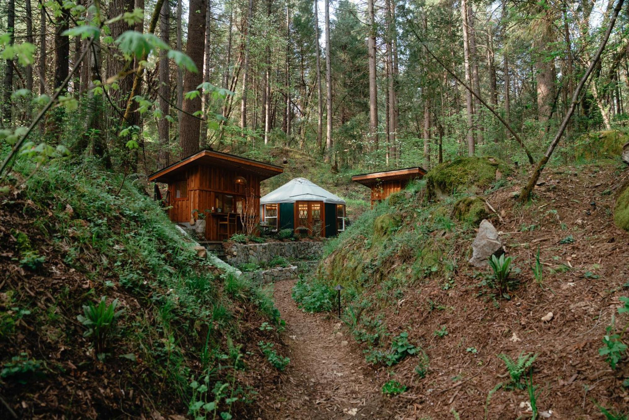 Hotel Magical Yurt In The Woods - 2 Miles From Town Nevada City Exteriér fotografie